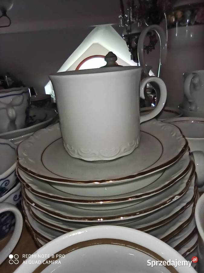 I 8 białych Ze złotym paseczkiem Z syg Bavaria pomorskie sprzedam