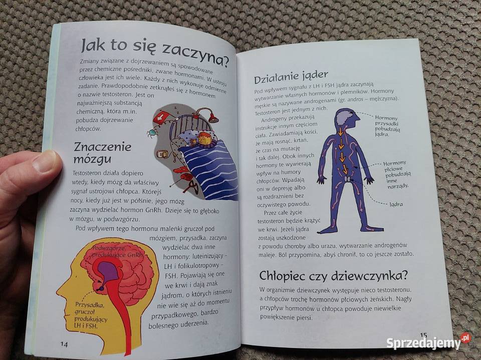 Dojrzewanie O czym chłopcy muszą wiedzieć Kraków
