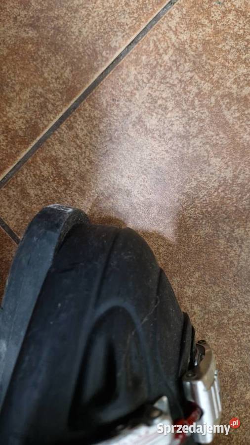 Buty narciarskie Dalbello Avanti truflex 90120 Narty