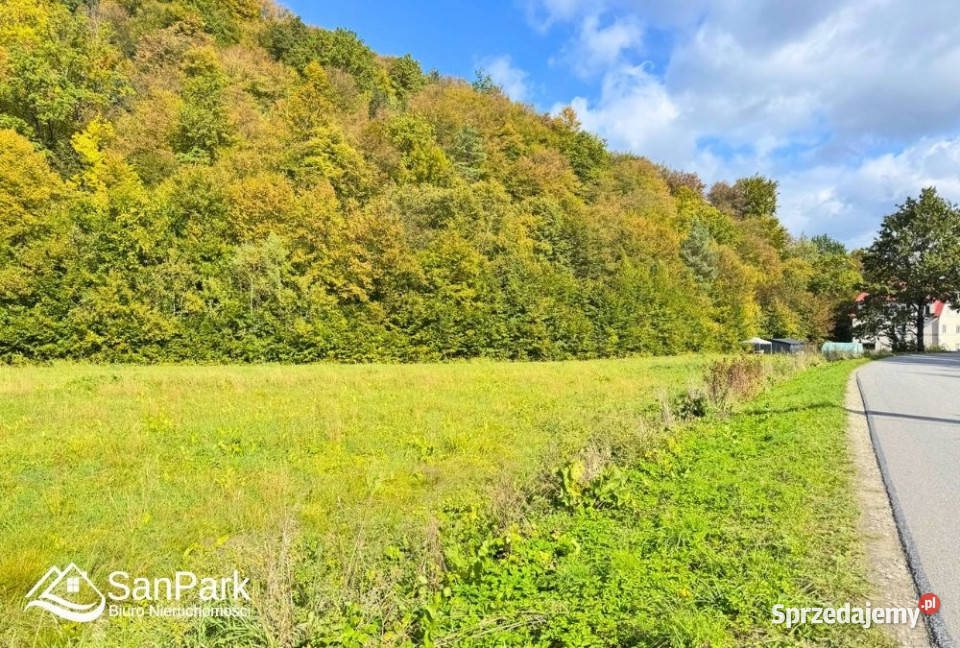 sprzedaży gruntu Wołkowyja 2500m2 Sprzedaż