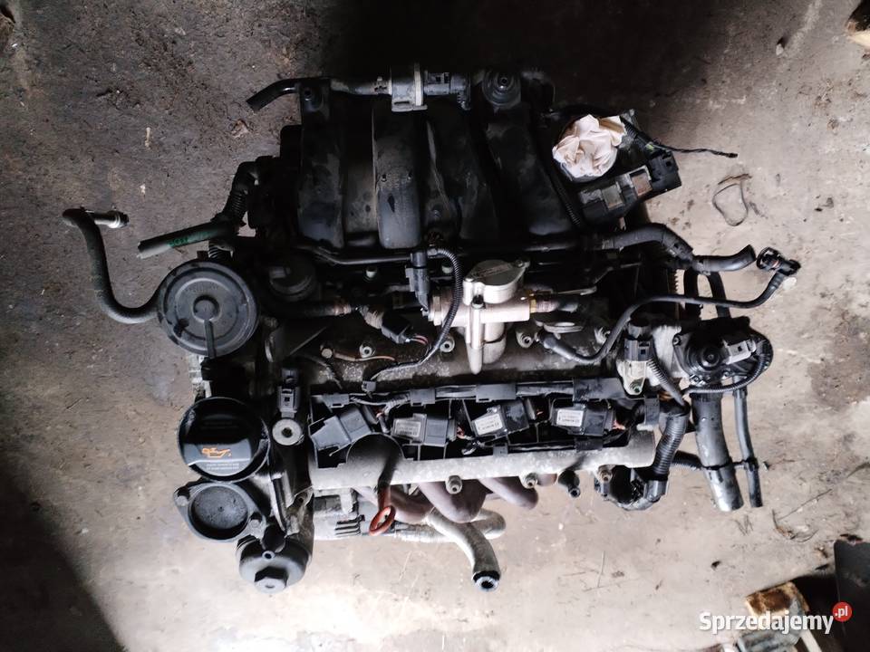 Silnik VW Golf V Plus 16 fsi BLF