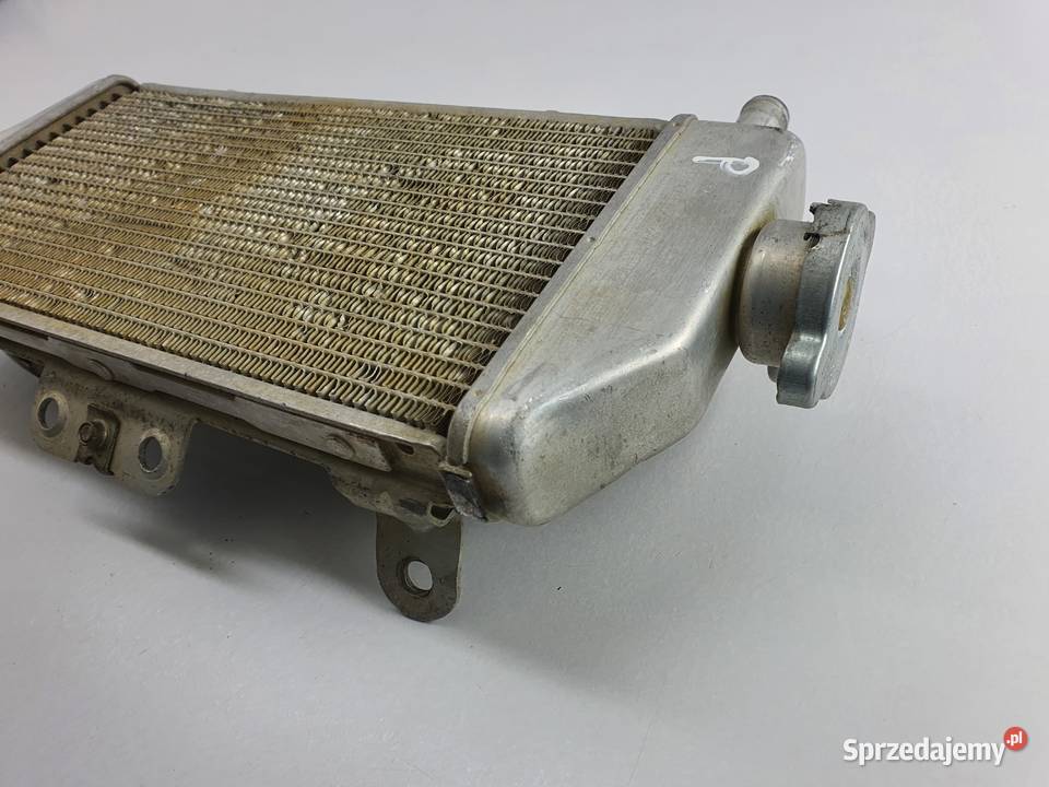 Chlodnica Prawa Korek Yamaha Yzf 250450