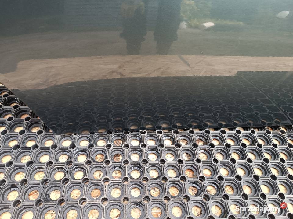 BMW E90 SEDAN DRZWI TYŁ TYLNIE PRAWE PRAWY Drzwi Słowikowo sprzedam