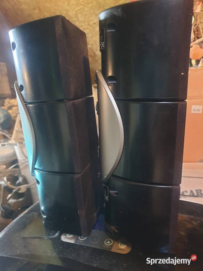 Pioneer 6 kolumienek podkarpackie