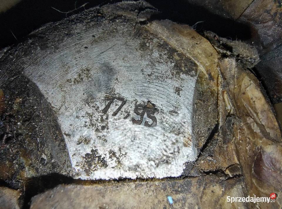 Oryginalne nowe tłoki 7795 z pierścieniami Leszno