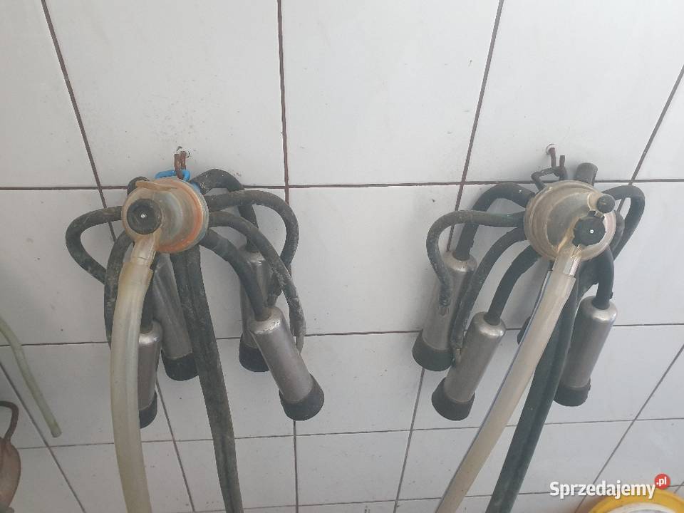 Dojarka alfa laval z osprzętem