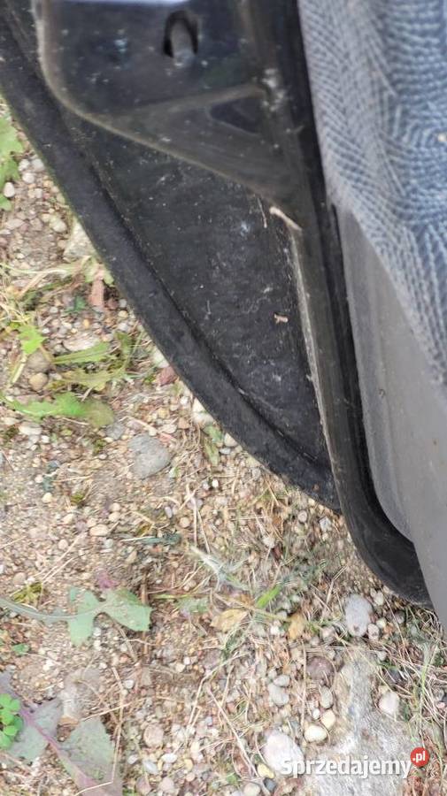 Drzwi Renault Laguna I Motoryzacja Łagów