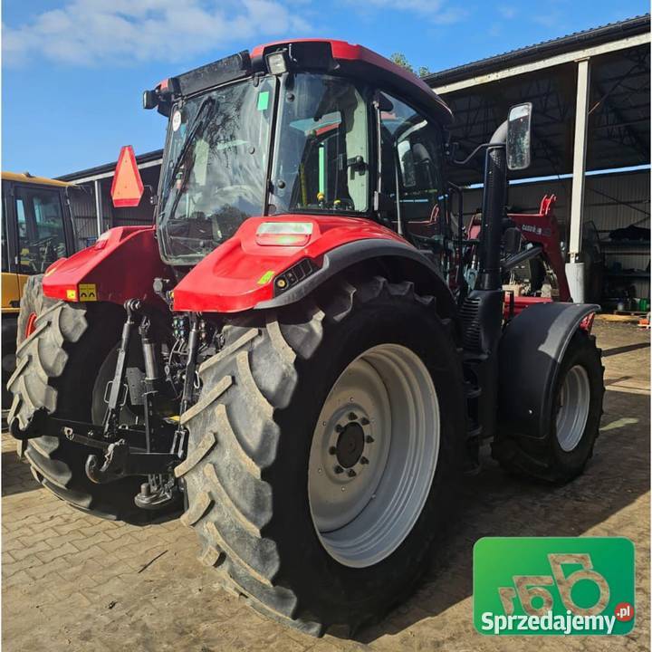 Case Luxxum120 2019rI rej2021 Ładowacz Stoll Case IH Wilkowo