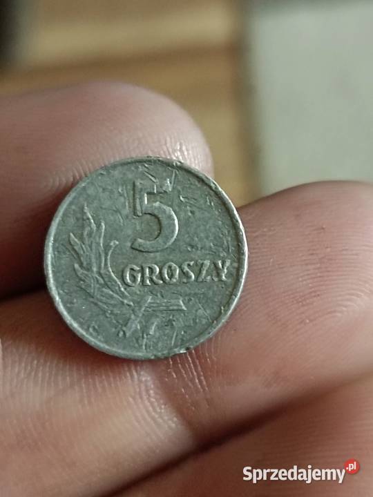 Sprzedam monete 5 gr 1962 bzm lubelskie Chełm sprzedam