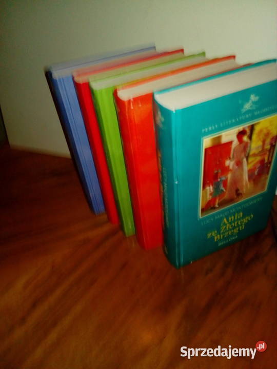 Ania z Zielonego Wzgórza Ania ze Złotego Brzegu twarda Łódź