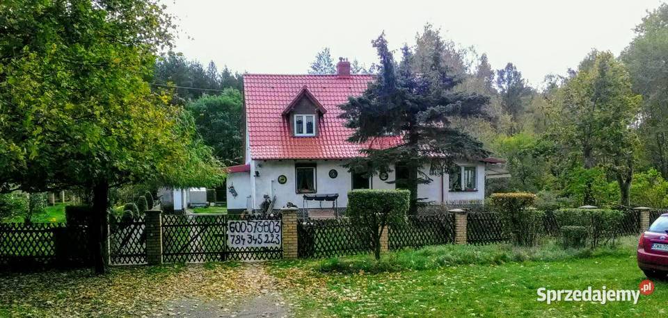 Dom na skraju lasu oaza spokoju ale miasta murowane Mirosławiec