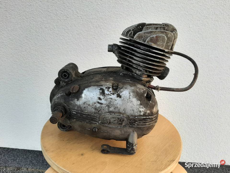 Silnik Ryś Żak wielkopolskie Leszno