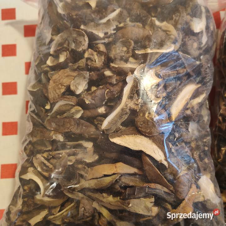 podgrzybki suszone Sopot