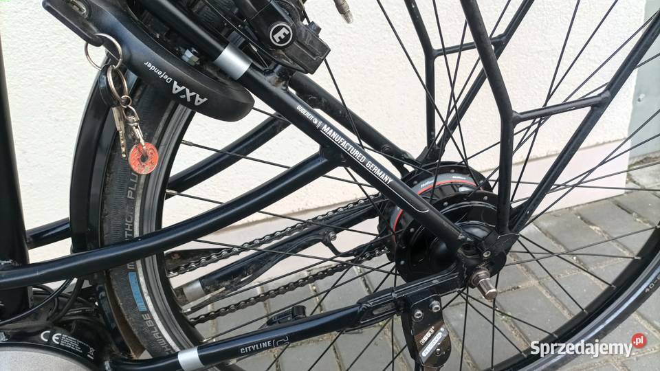 Rower elektryczny Gudreit koła wielkopolskie