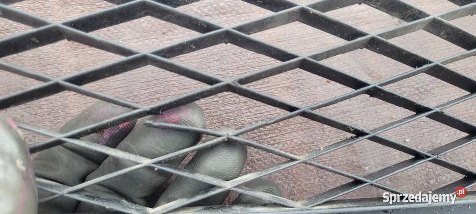 MAZDA 6 GG KRATKA ŚRODKOWA ZDERZAKA śląskie Ruda Śląska sprzedam