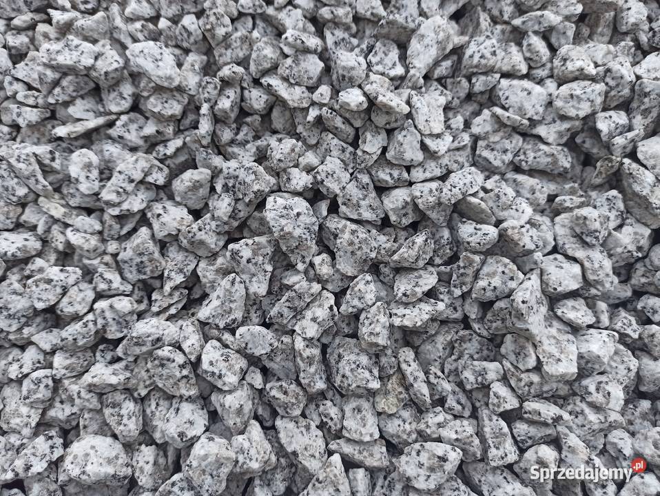 Grys Granitowy Dalmatyńczyk szary w kropki Biała łódzkie Łódź