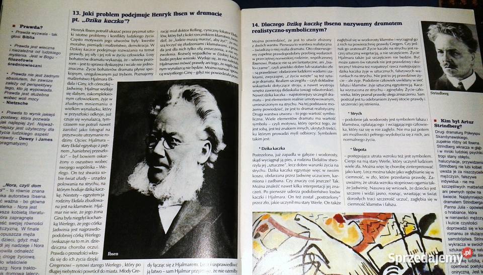 Cogito Język polski 6 Pytania i odpowiedzi Pozostałe Chełm