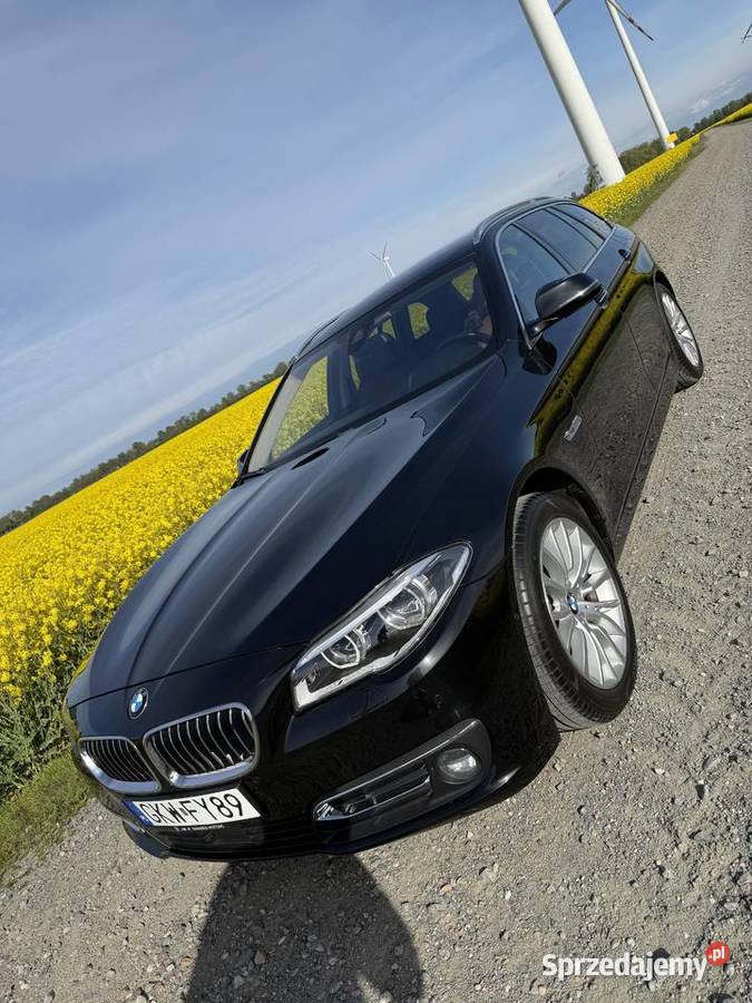 BMW 5 F11 touring Luxury Line 30d 258 xDrive Gdańsk