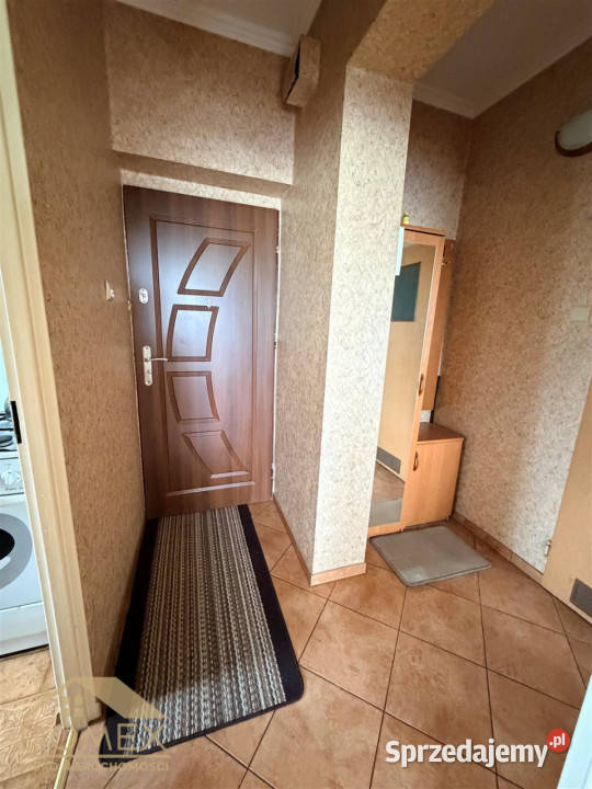 Mieszkanie Wodzisław Śląski 38m2 2pokojowe 4815zł/m2 sprzedam