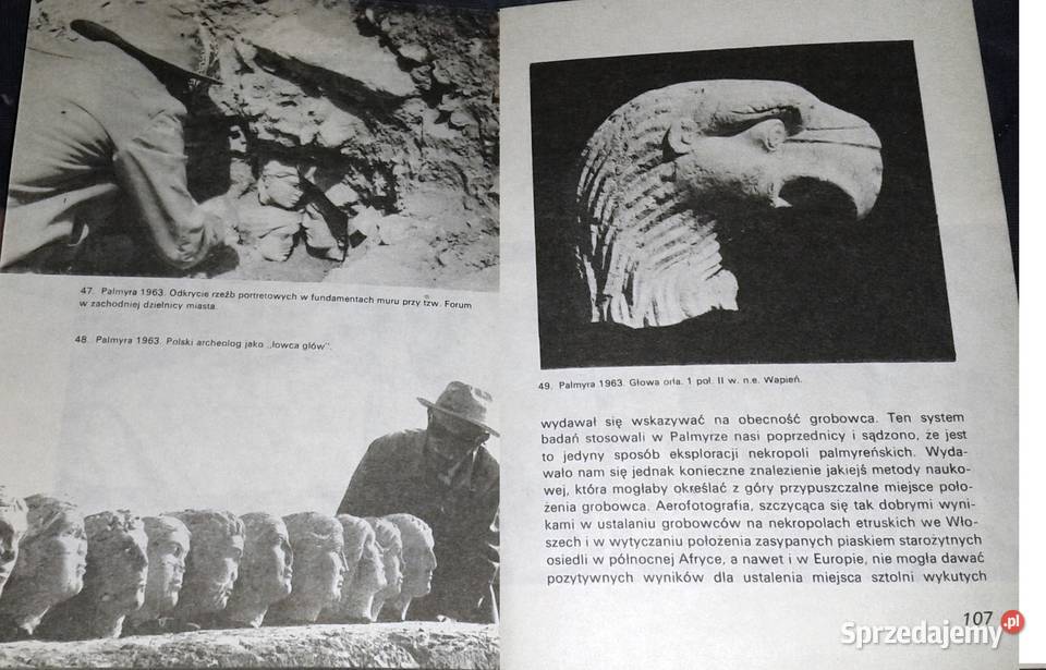 Edfu do Faras Kazimierz Michałowski Chełm