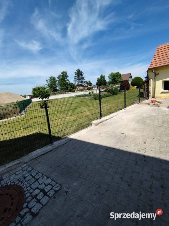 Najtaniej najszybciej najbezpieczniej lubuskie Gubin