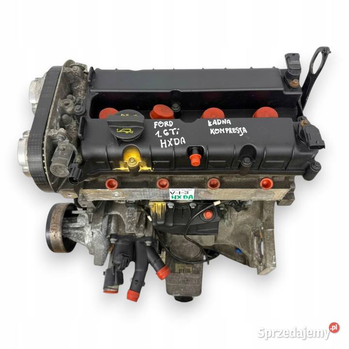 SILNIK HXDA Ford Focus II MK2 C C 16 16V Ti HXDB Chełm