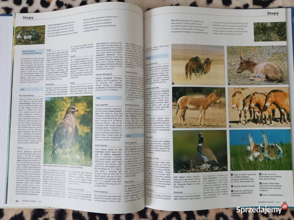Wielka Encyklopedia Geografiiseria Oxford do Książki naukowe i popularnonaukowe Kultura i Rozrywka małopolskie Kraków