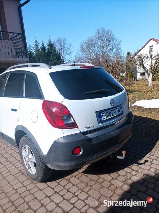 Sprzedam fajna Antare podlaskie