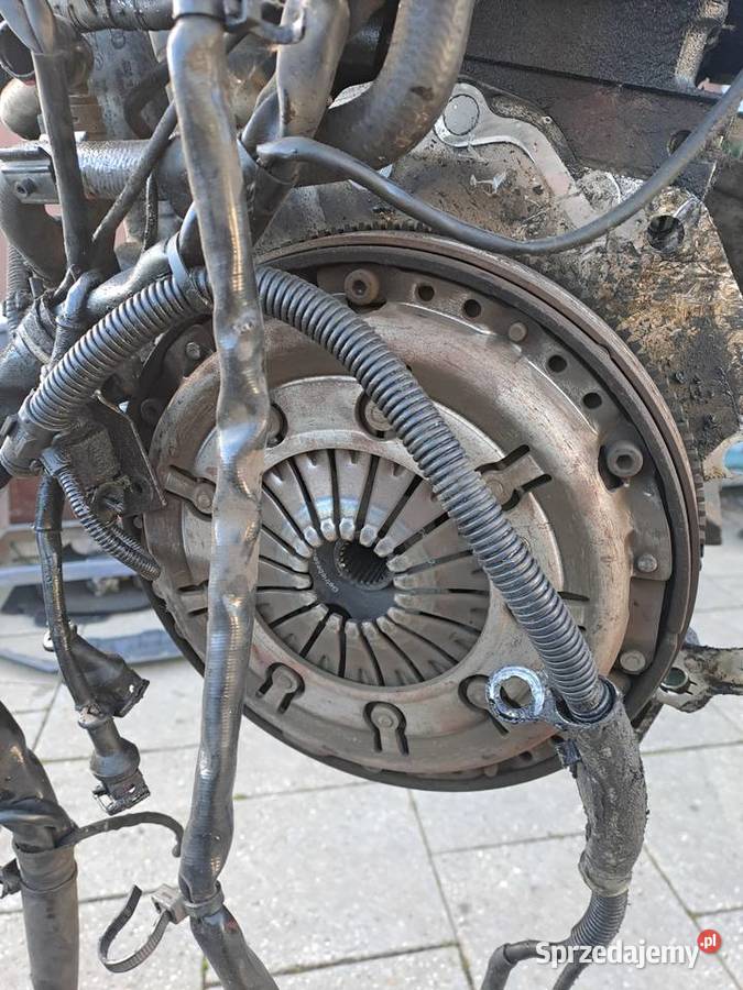 Audi A4 B6 19 TDi 130 silnik kompletny kod AWX Jastrzębie-Zdrój