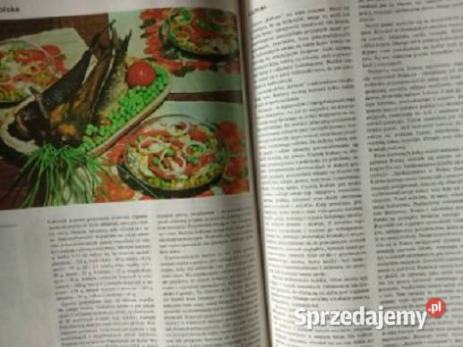 Polska moja ojczyzna Encyklopedia dzieci 1979 Łódź