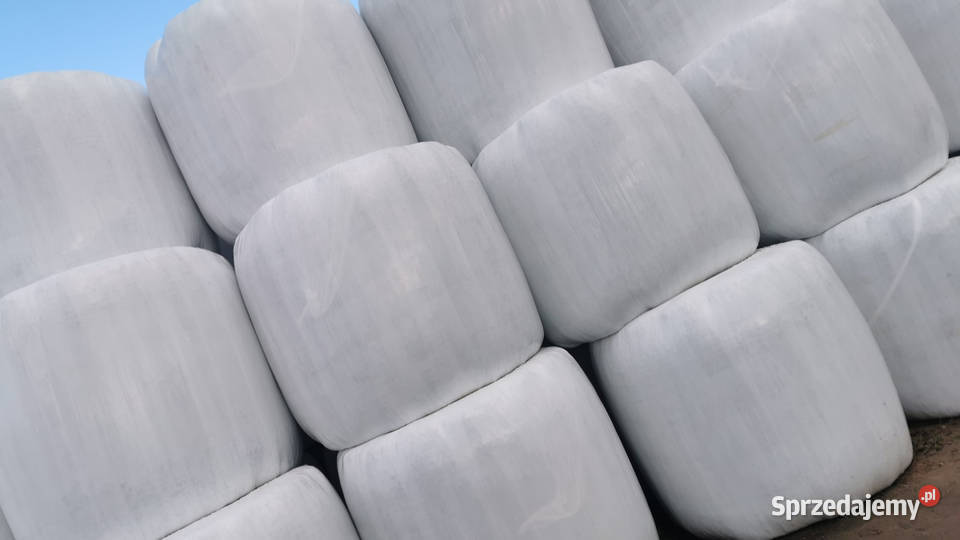 Sprzedam Bele sianokiszonki Łomża sprzedam