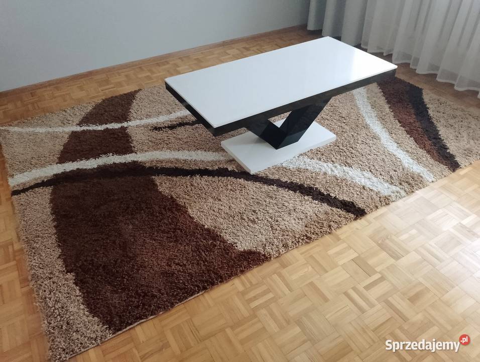 NOWOCZESNY przepiękny dywan Shaggy brąz beż biel 290m Łapy