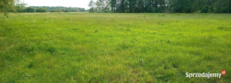 Działki budowlane Czubajowizna k Wołomina 2000m2