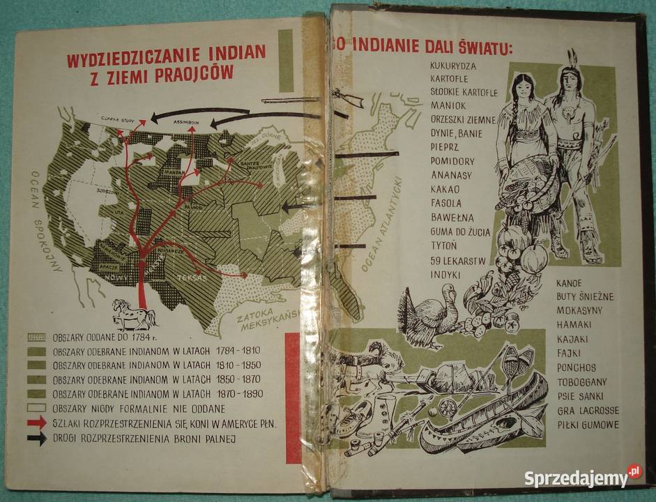 Przekleństwo Zła Warszawa