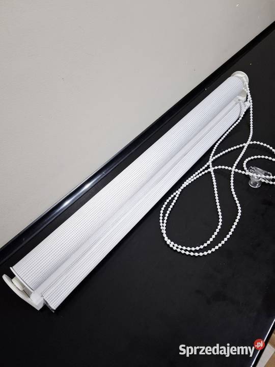 Roleta dzień noc zebra