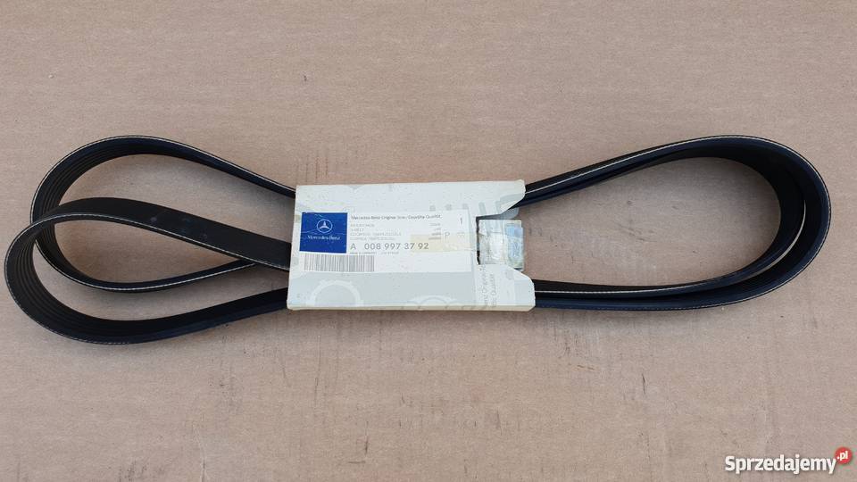 PASEK WIELOKLINOWY A 0089973792 Bieleń sprzedam