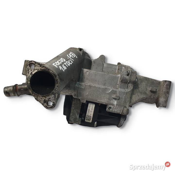 CHŁODNICA SPALIN EGR Ford Focus III 16 TDCI Chełm
