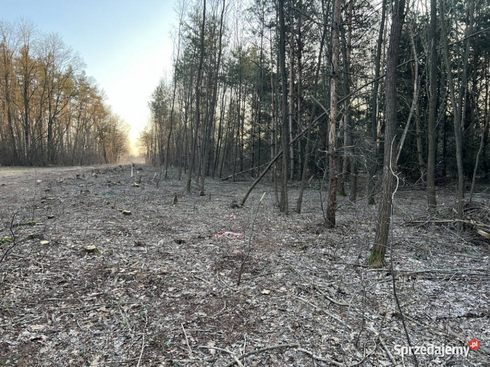 Działka budowlana w miejscowości Wola Pieczyska