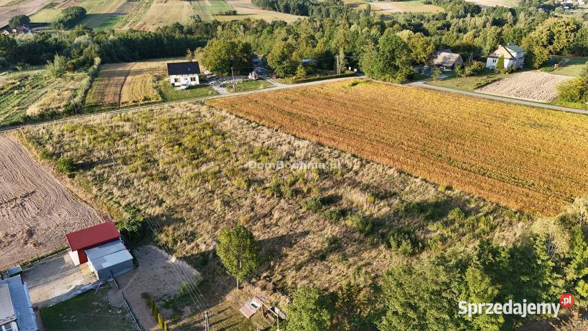 Ogłoszenie działka 1401m2 Tworkowa asfalt małopolskie