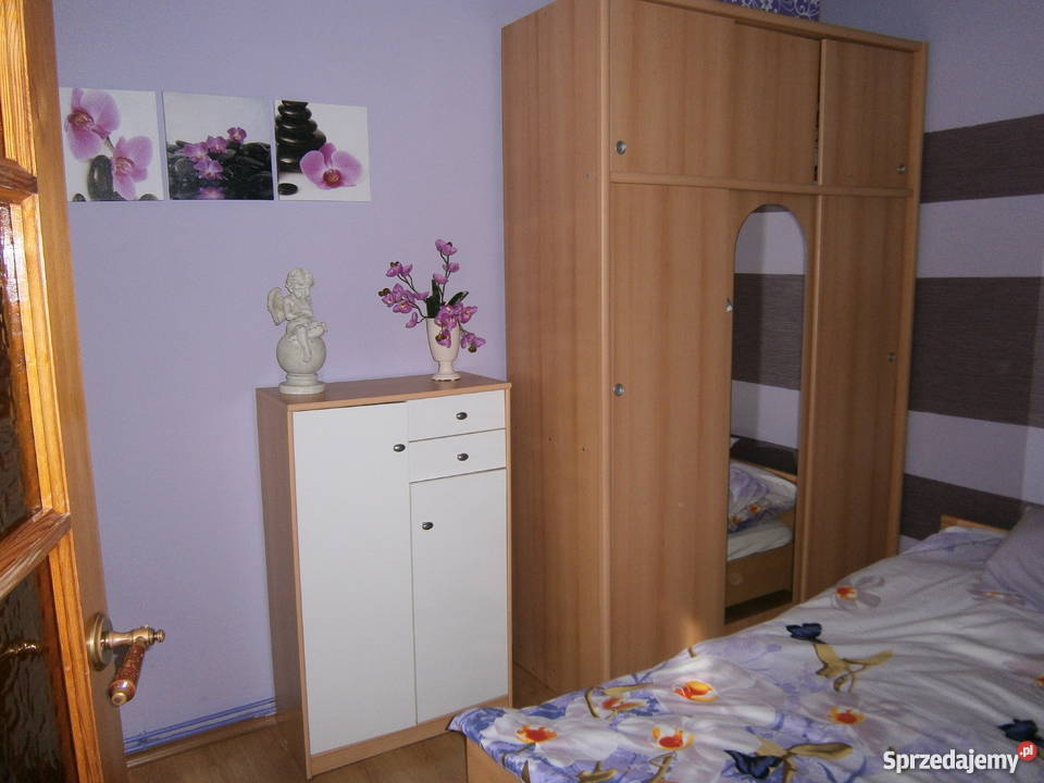 Sprzedam zamienię połowę domu z budynkami Domy sprzedam