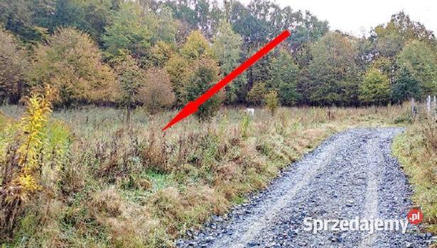Zarządca masy sanacyjnej sprzeda nier grunt Bystrzyca Górna sprzedam