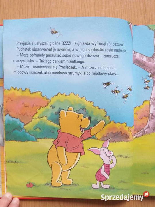 Kubuś Puchatek słodkich snów Dąbrowa Górnicza sprzedam