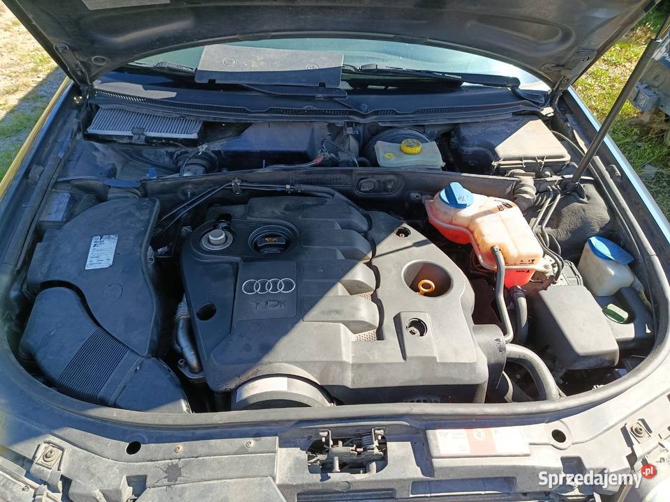 Audi A6 19 96 kW 2003 r dawca części Rok produkcji 2003 Szklarka Myślniewska
