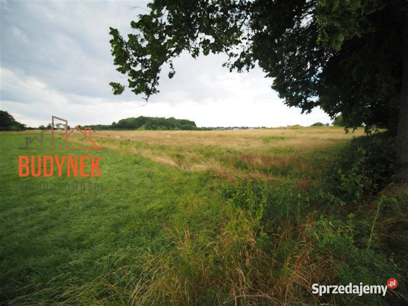 Działka rolna Rusinowo 83zł/m2