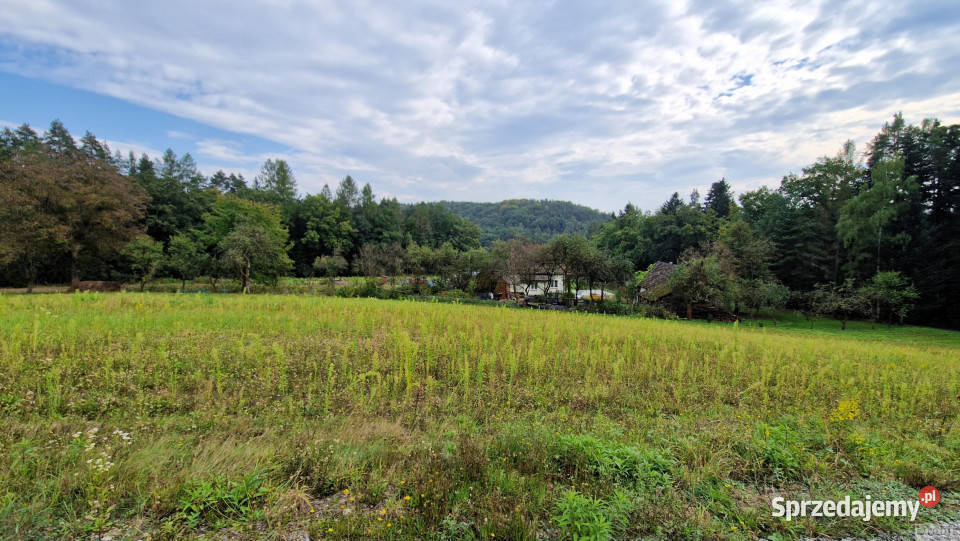 Działka 1204m2 Izdebnik 145zł/m2 małopolskie