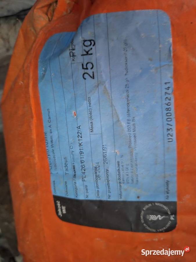 Sprzedam pszenżyto Tadeus żyto Dańkowskie Hadron świętokrzyskie Małogoszcz