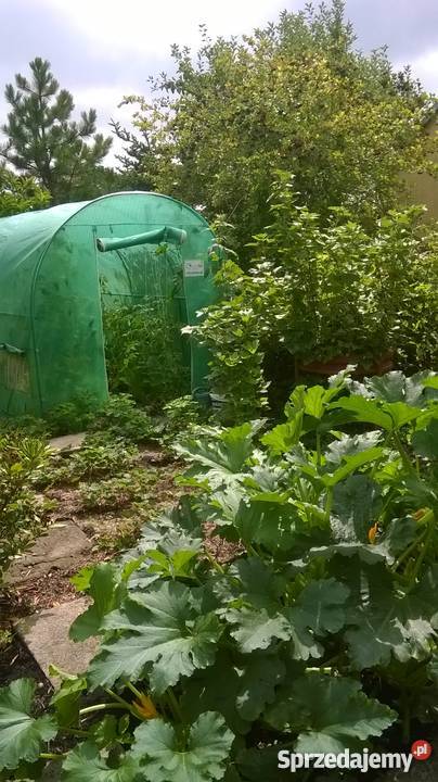 Wyspa Pucka Szczecin Nieruchomości