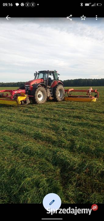 Kosiarka motyl fella Mątwica