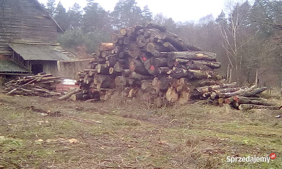 TANIE DREWNO KOMINKOWE I OPAŁOWE TRANSPORT Tychowo