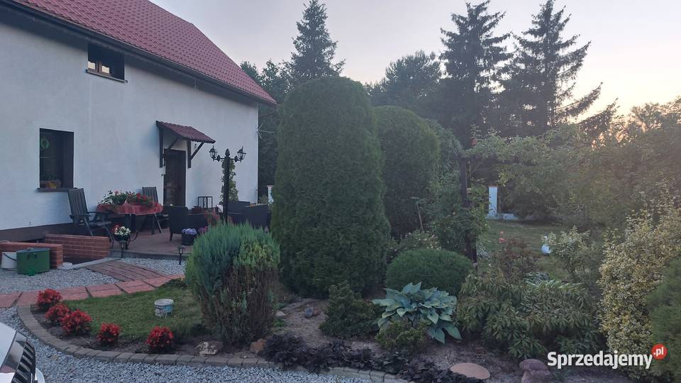 Dom z pięknym ogrodem na sprzedaż Pilszcz 1300m2
